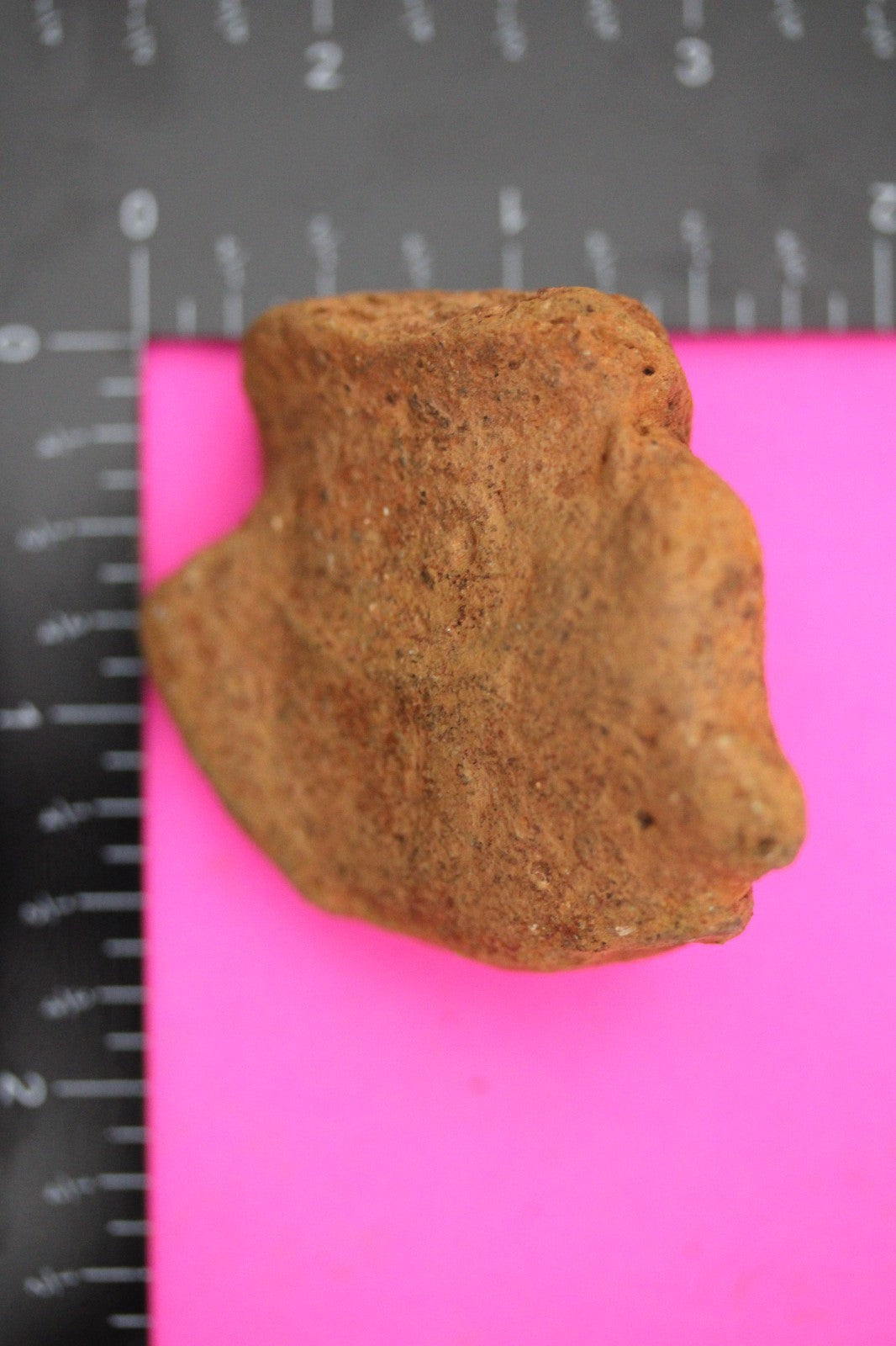 Puerto Rico Taino Pre Columbian Pottery Artifact FREE Display Case 1000AD COA 25