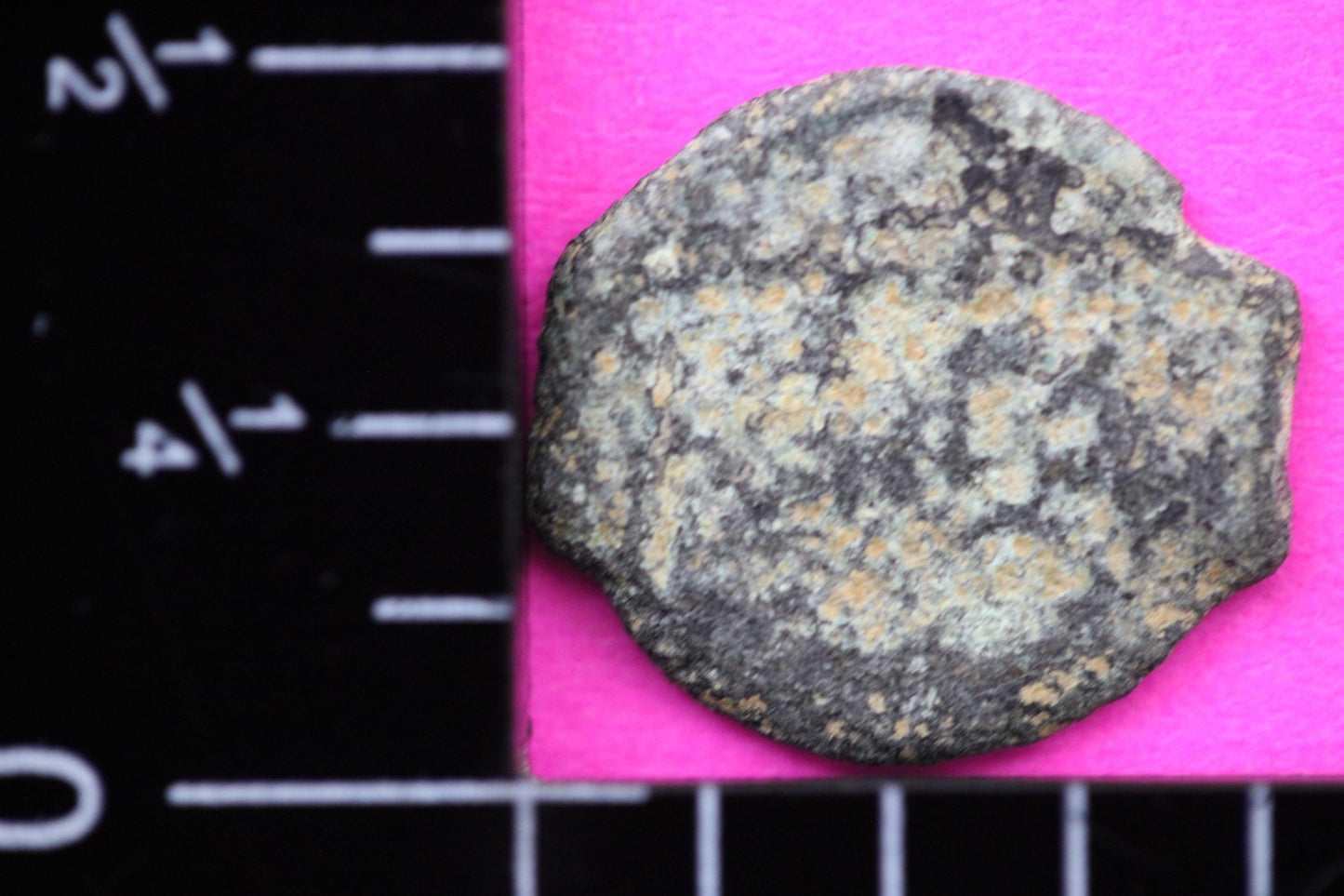 Widows Mite Coin Holy Land Artifact Free Display Frame Jesus Christ Lifetime 81