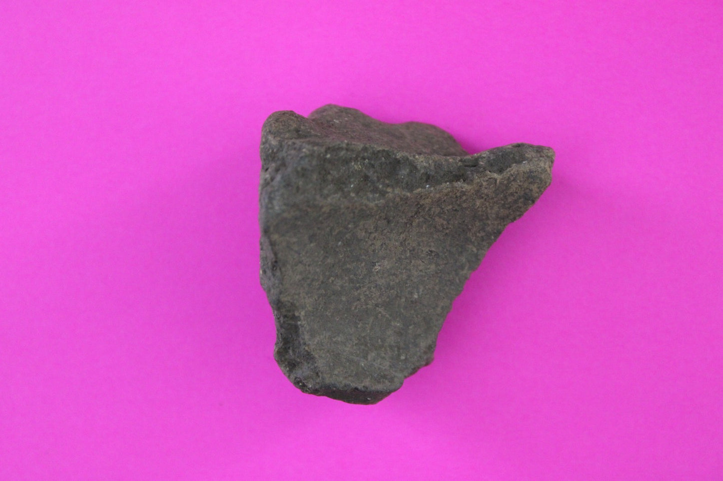 Puerto Rico Taino Pre Columbian Pottery Artifact FREE Display Case 1000AD COA 91