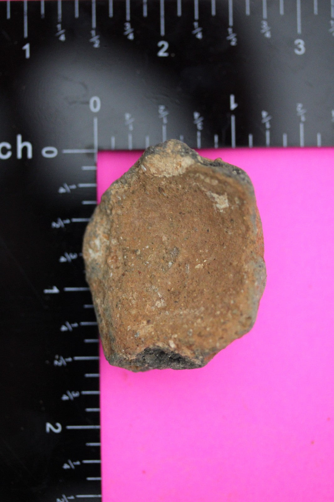 Puerto Rico Taino Pre Columbian Pottery Artifact FREE Display Case 1000AD COA 19