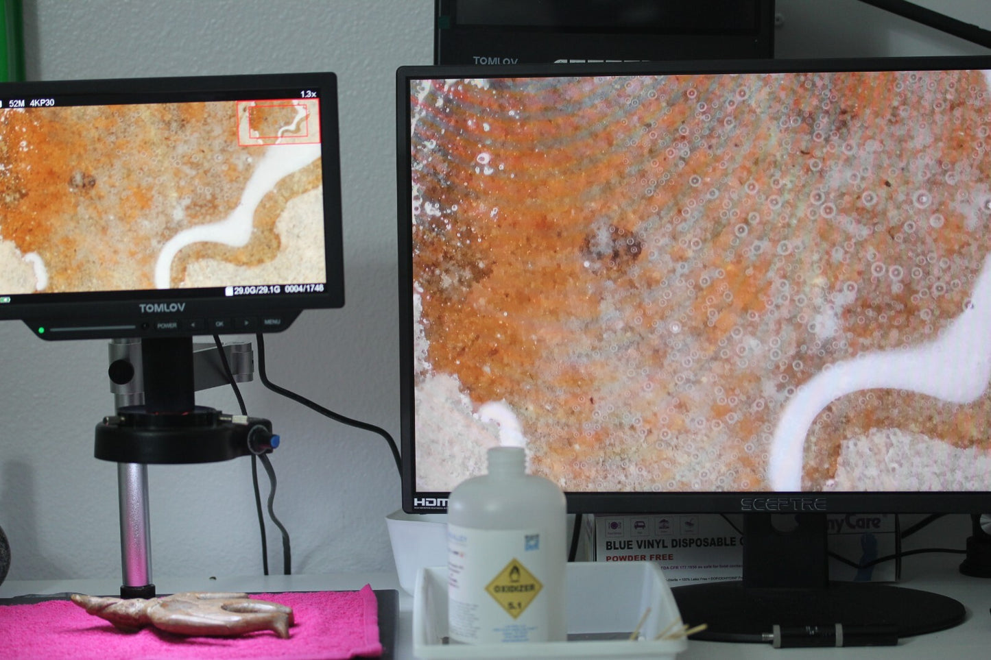 Pre Columbian Artifact Authentic Colima Shaman Tomb Figure 300BC-300AD COA J13