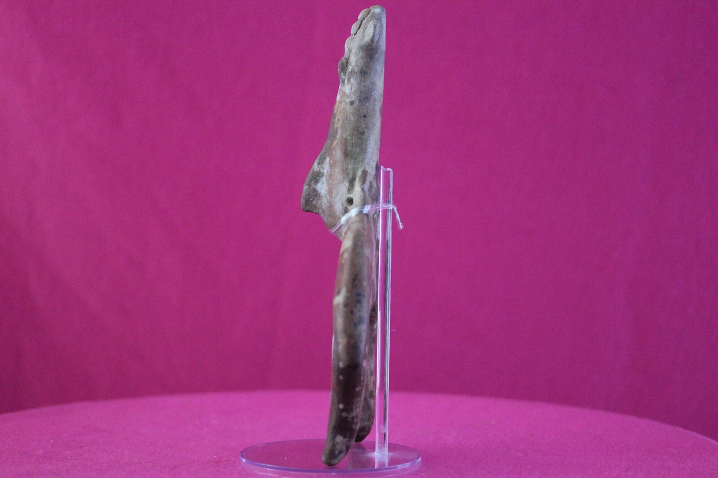 Authentic Pre Columbian Artifact Tomb Figure Colima Mexico 100 BC-250 AD COA 168