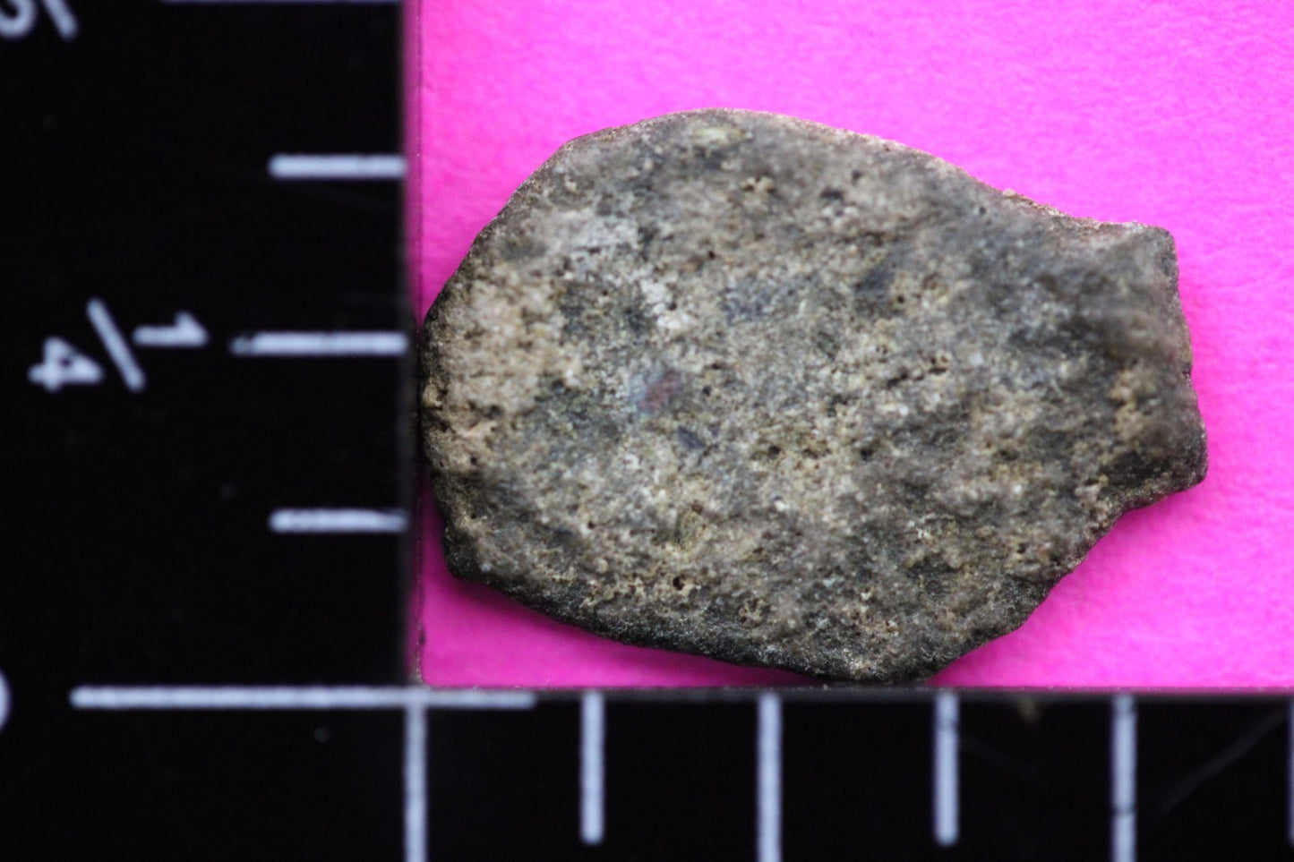 Widows Mite Coin Holy Land Artifact Free Display Frame Jesus Christ Lifetime 51