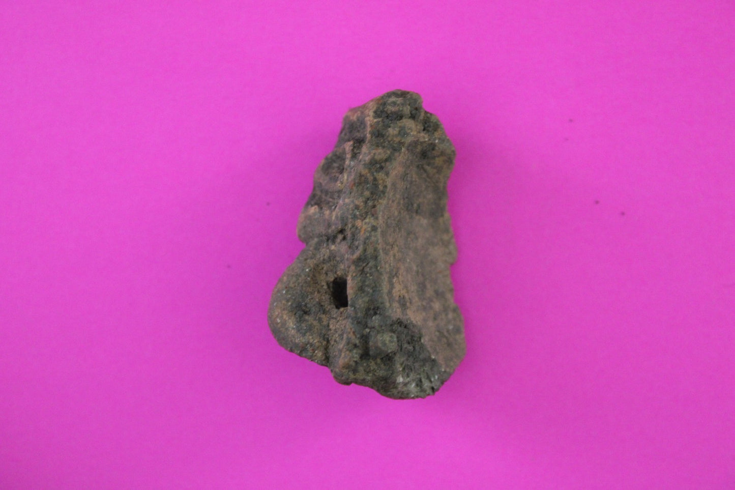 Puerto Rico Taino Pre Columbian Pottery Artifact FREE Display Case 1000AD COA 93