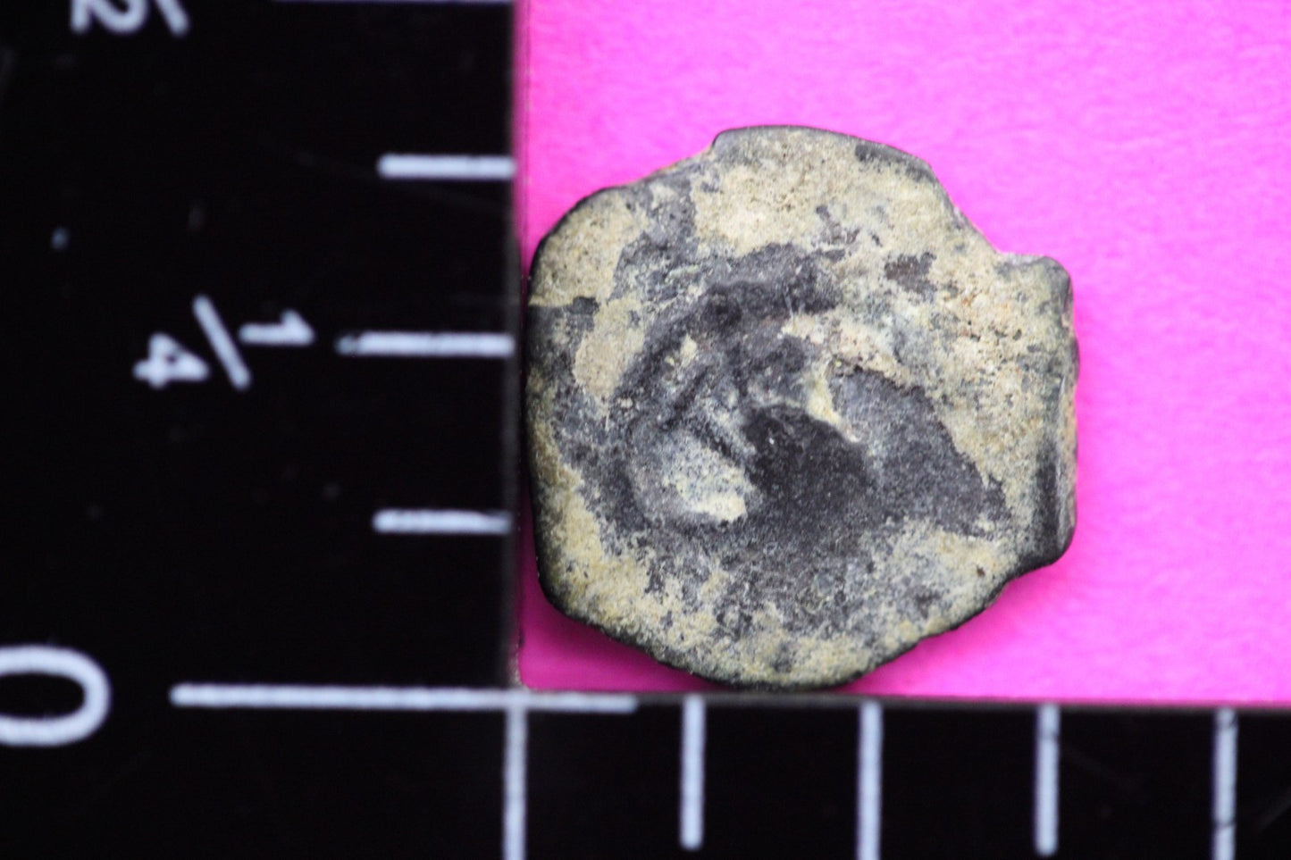 Widows Mite Coin Holy Land Artifact Free Display Frame Jesus Christ Lifetime 109