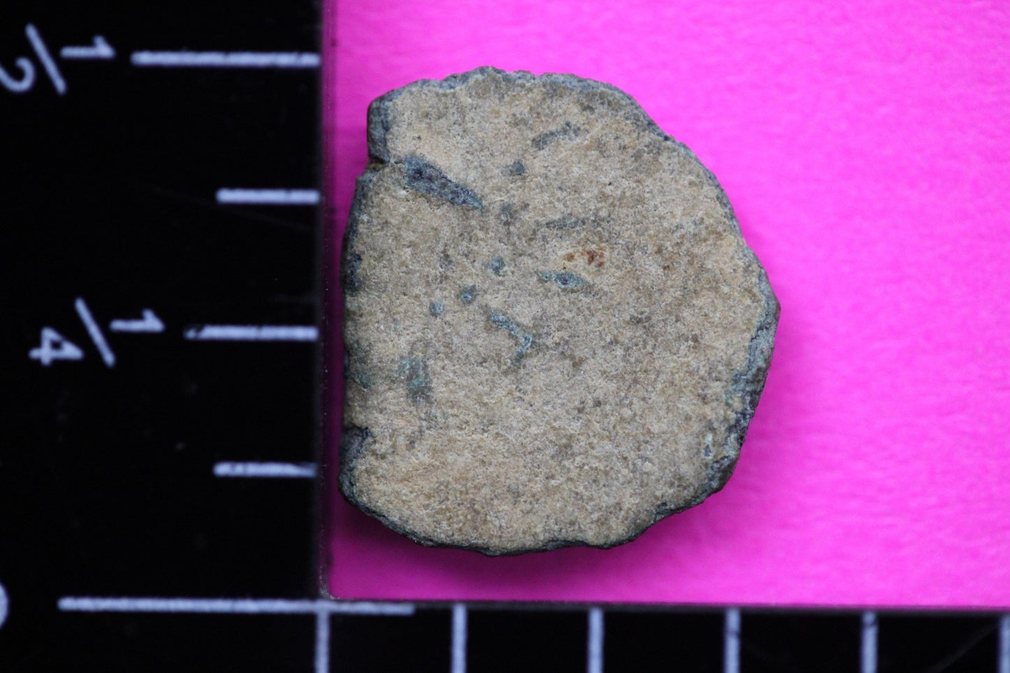 Widows Mite Coin Holy Land Artifact Free Display Frame Jesus Christ Lifetime 177