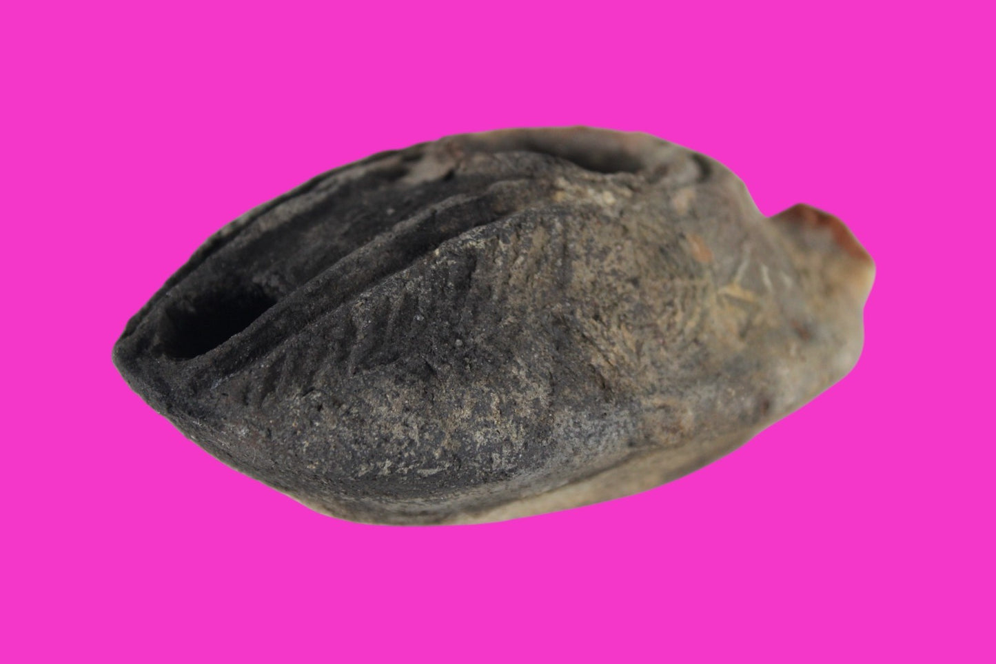 Ancient Holy Land Oil Lamp Artifact A Hidden Christian Cross 300-600AD COA 134