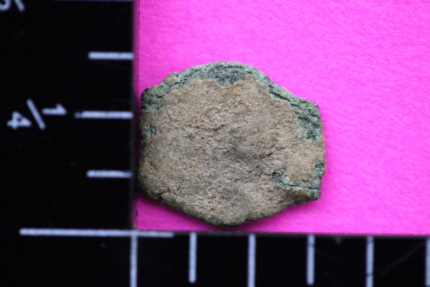 Widows Mite Coin Holy Land Artifact Free Display Frame Jesus Christ Lifetime 57