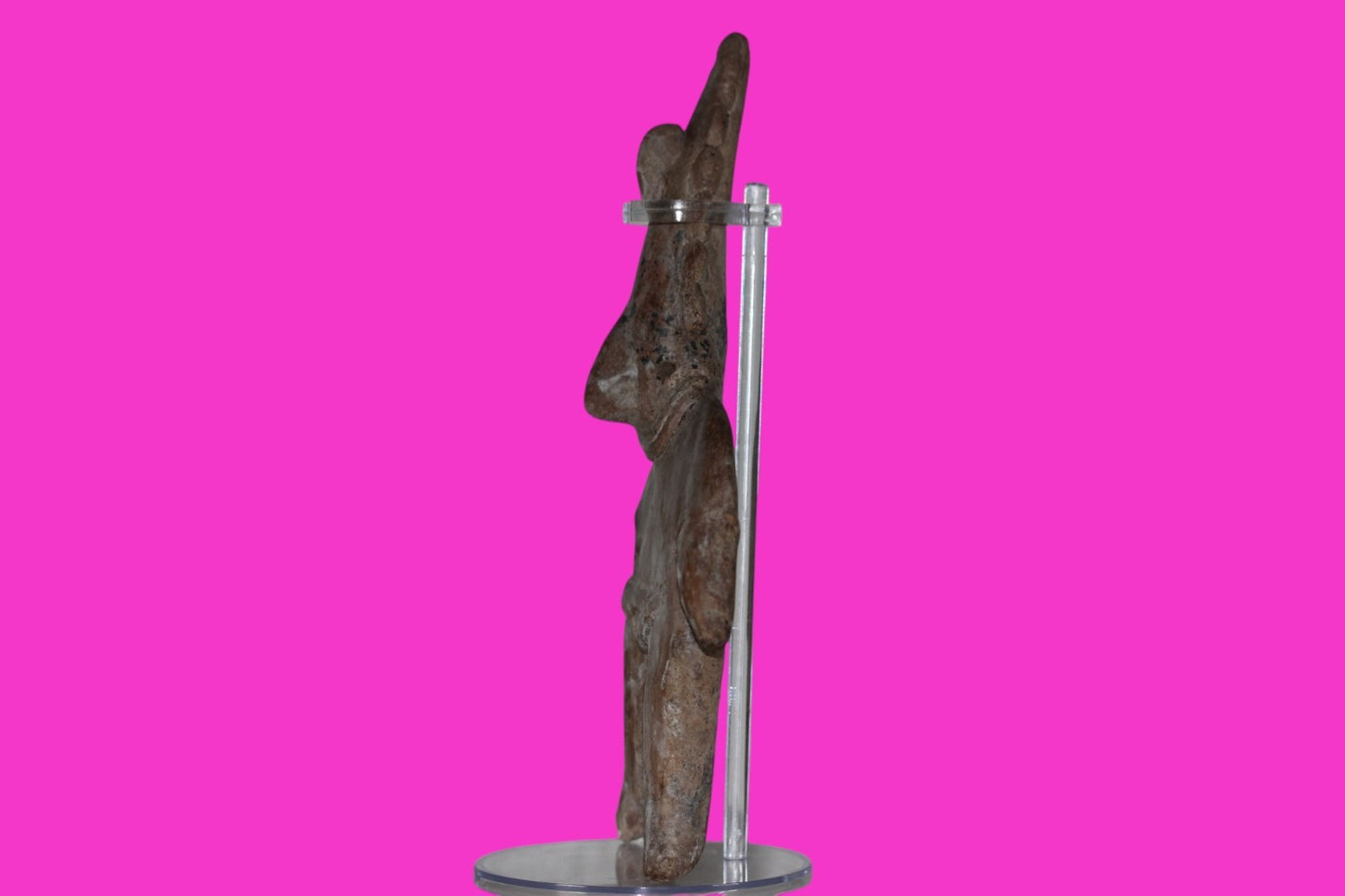 Authentic Pre Columbian Artifact Archaic Shaman Tomb Figure Colima Mexico COA 20