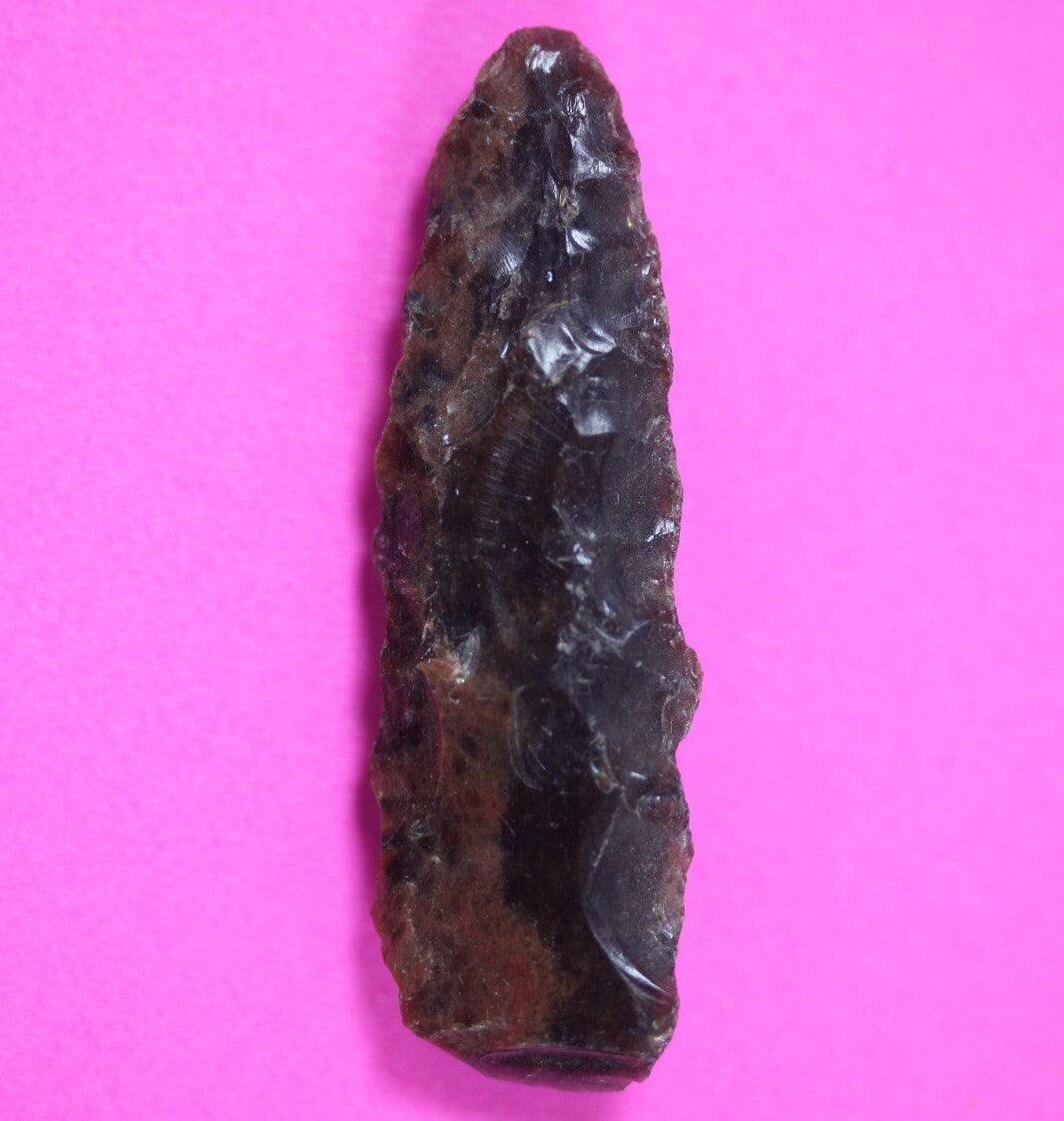 Authentic Pre Columbian Artifact Aztec Arrowhead Battle of Mexico City COA 85