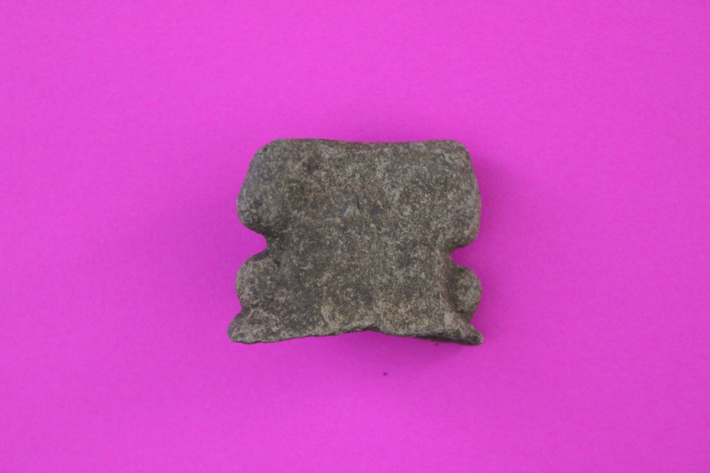 Puerto Rico Taino Pre Columbian Pottery Artifact FREE Display Case 1000AD COA 89