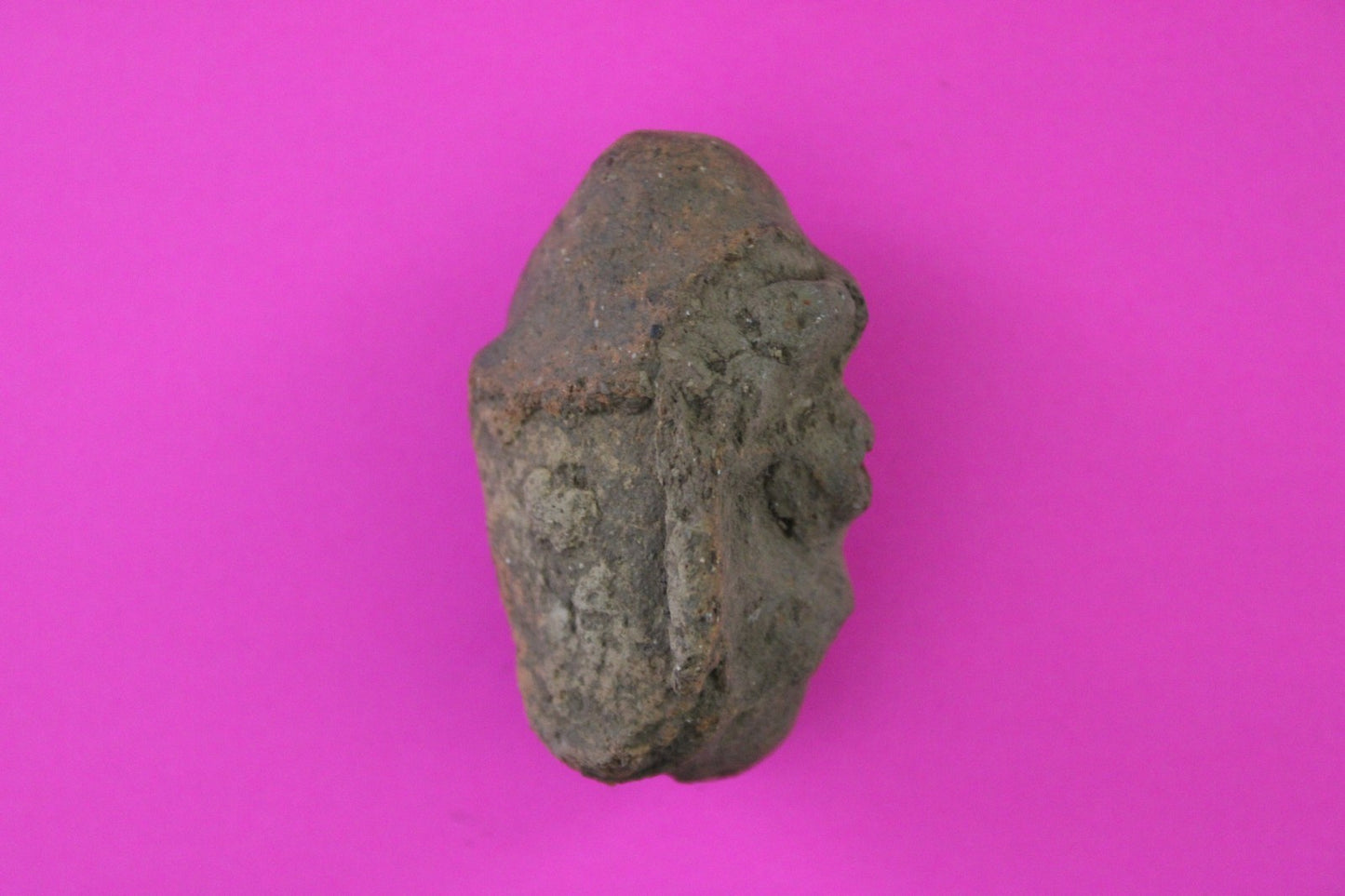 Puerto Rico Taino Pre Columbian Pottery Artifact FREE Display Case 1000AD COA 79