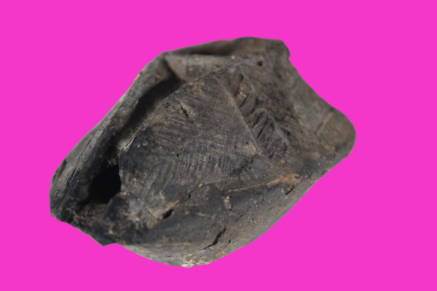 Oil Lamp Holy Land Ancient Artifact Jesus Christ Home Israel 300-600 AD COA 95