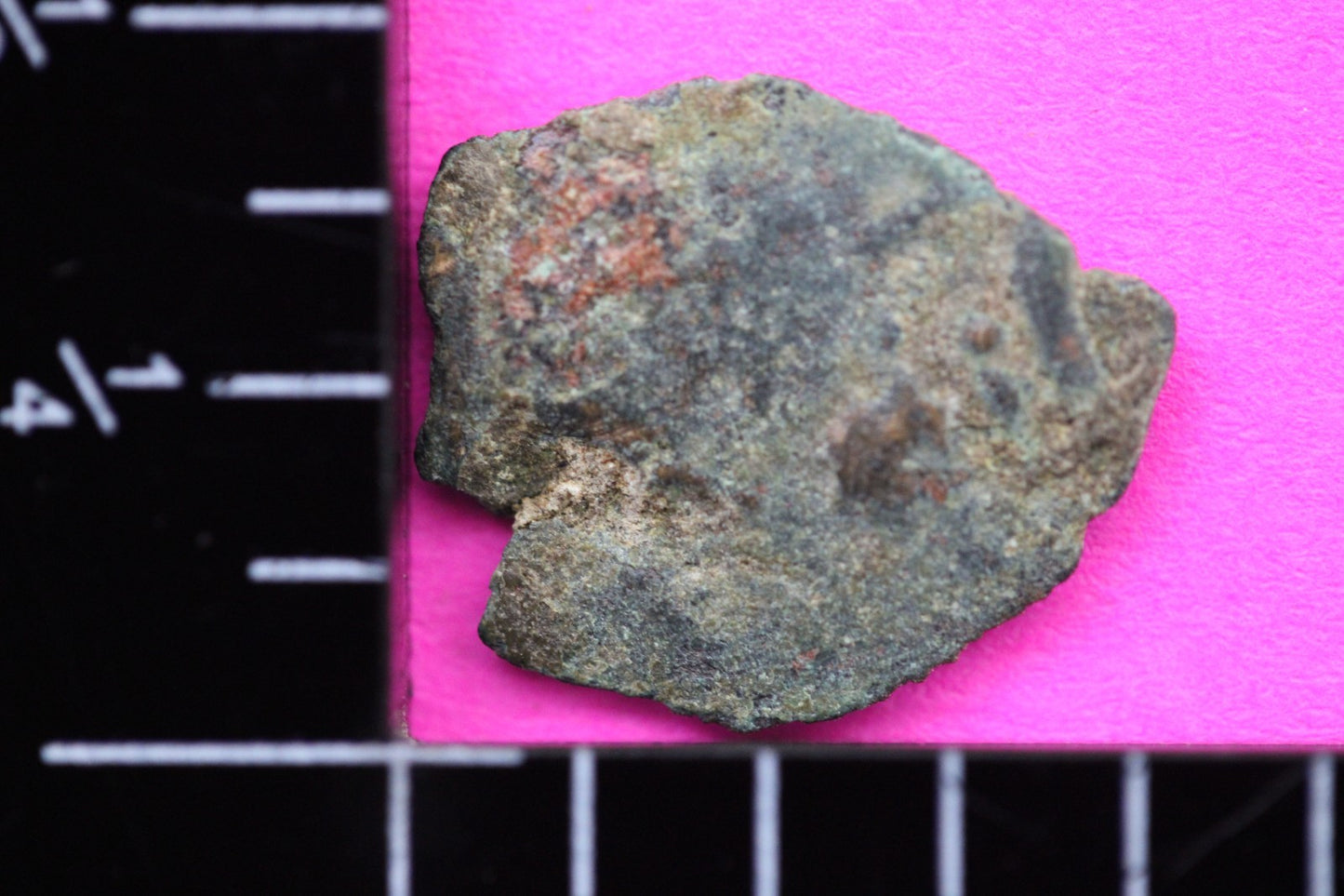 Widows Mite Coin Holy Land Artifact Free Display Frame Jesus Christ Lifetime 44