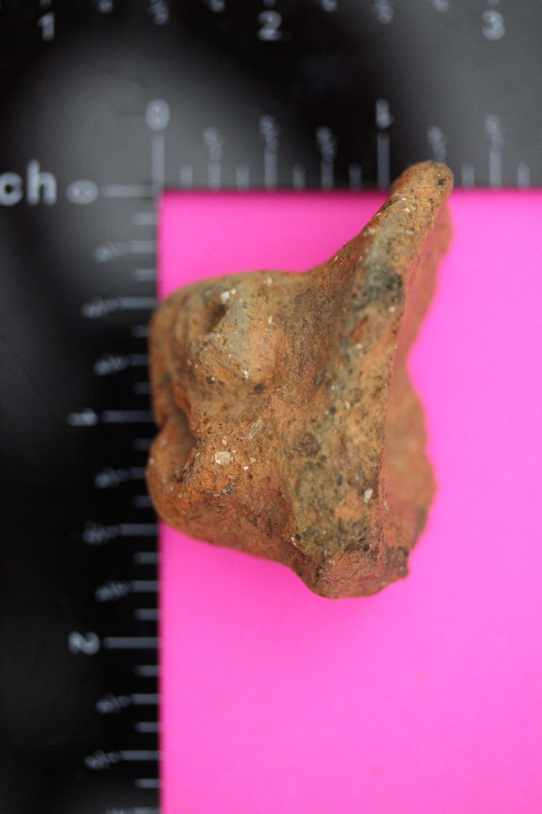 Puerto Rico Taino Pre Columbian Pottery Artifact FREE Display Case 1000AD COA 20