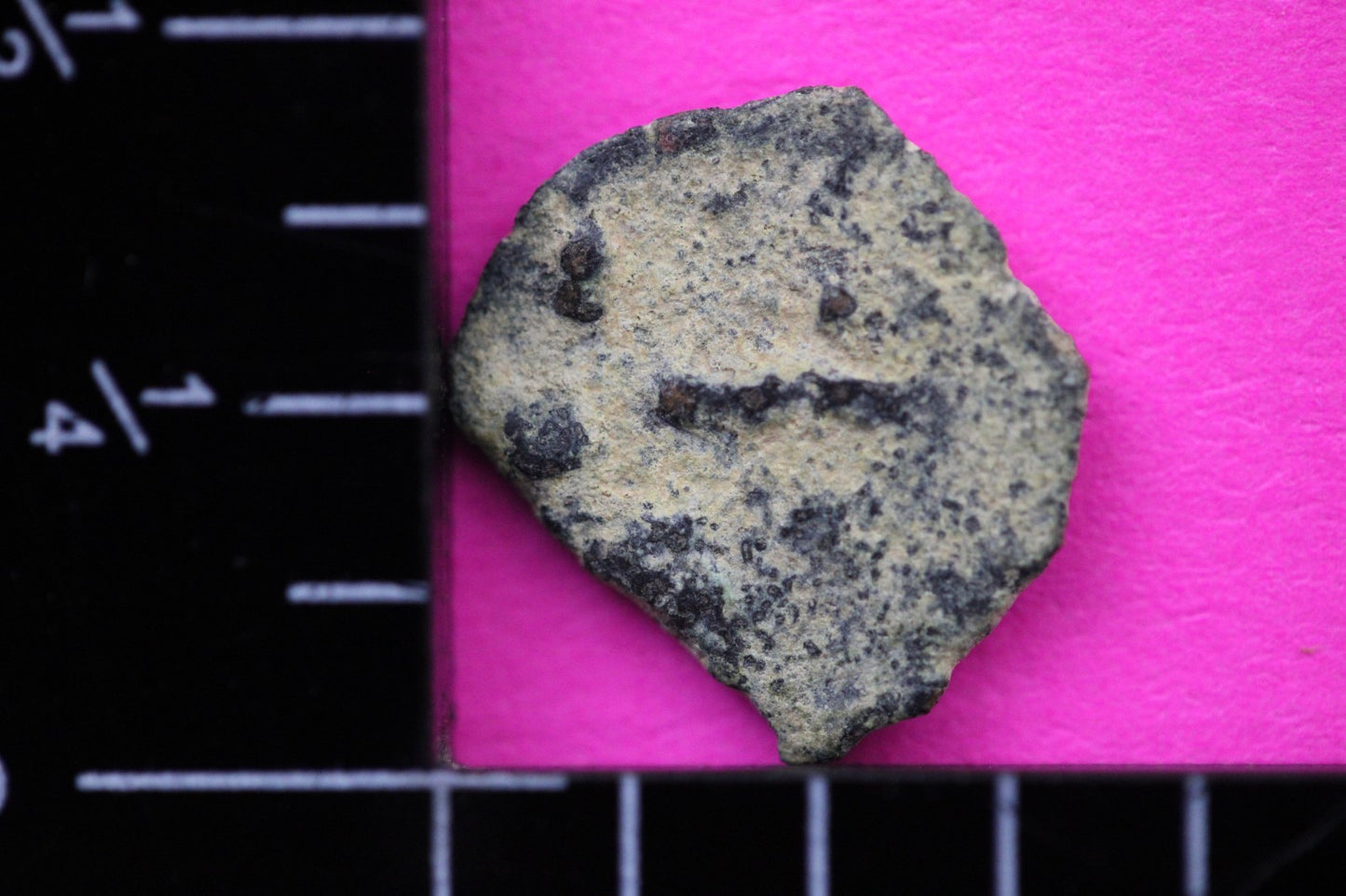 Widows Mite Coin Holy Land Artifact Free Display Frame Jesus Christ Lifetime 160