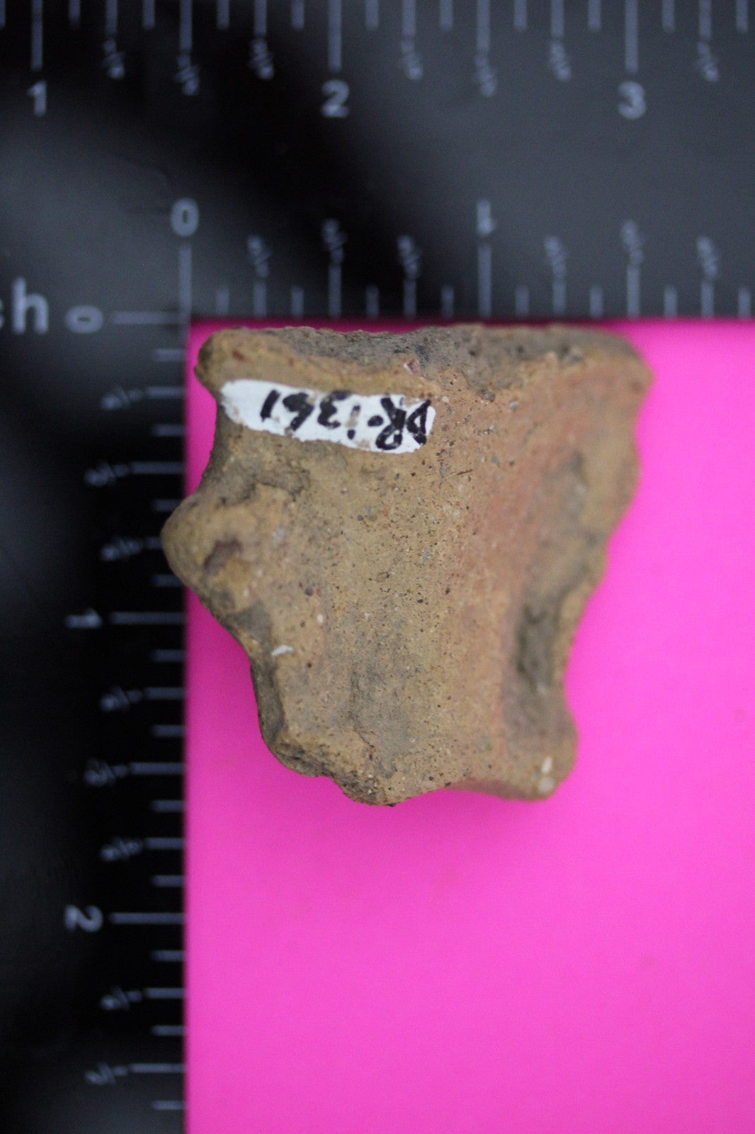 Puerto Rico Taino Pre Columbian Pottery Artifact FREE Display Case 1000AD COA 10