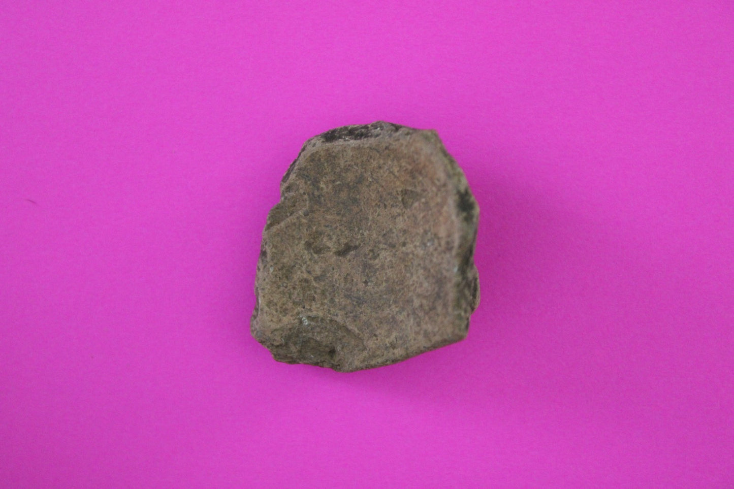 Puerto Rico Taino Pre Columbian Pottery Artifact FREE Display Case 1000AD COA 95