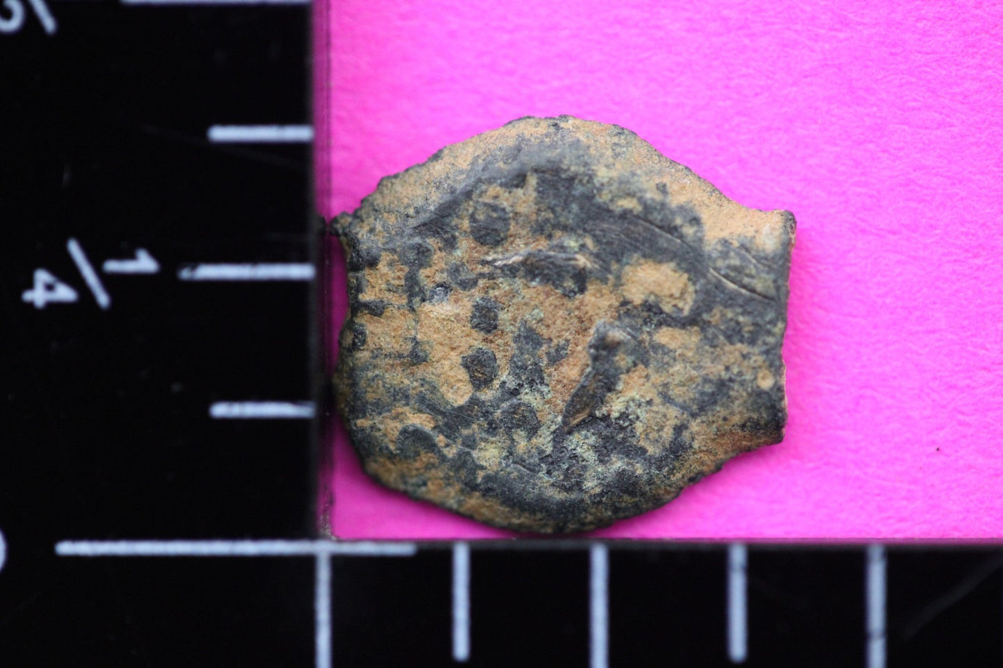 Widows Mite Coin Holy Land Artifact Free Display Frame Jesus Christ Lifetime 129