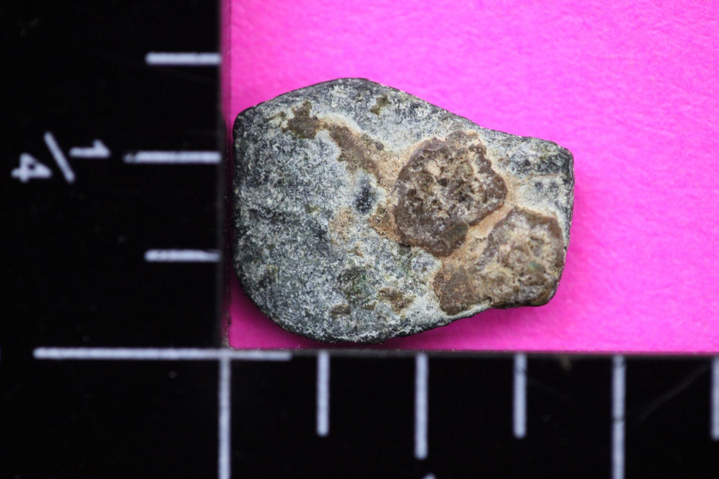 Widows Mite Coin Holy Land Artifact Free Display Frame Jesus Christ Lifetime 59