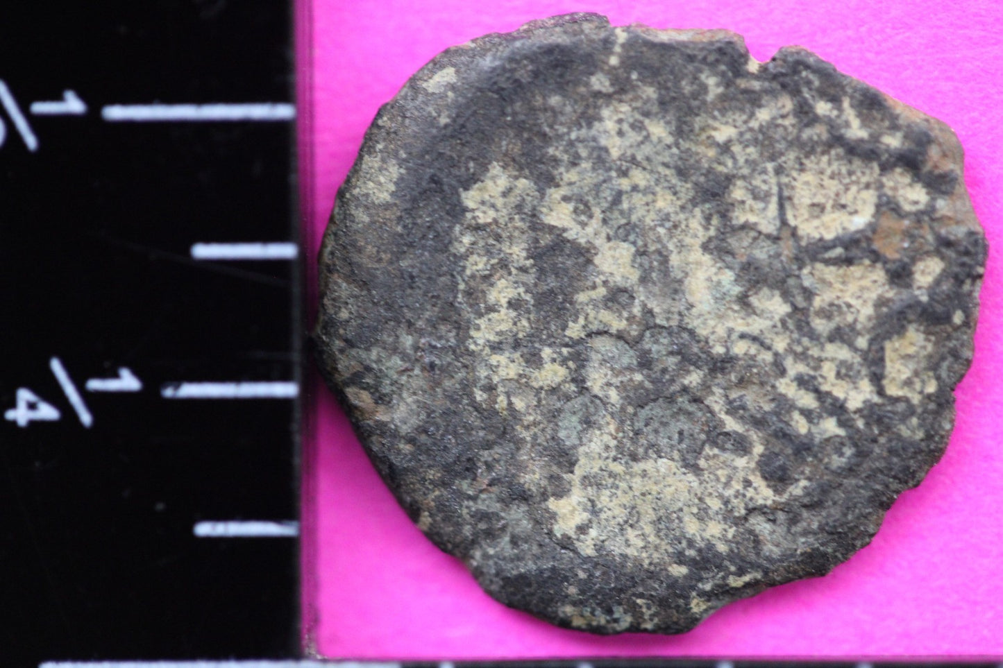 Widows Mite Coin Holy Land Artifact Free Display Frame Jesus Christ Lifetime 92