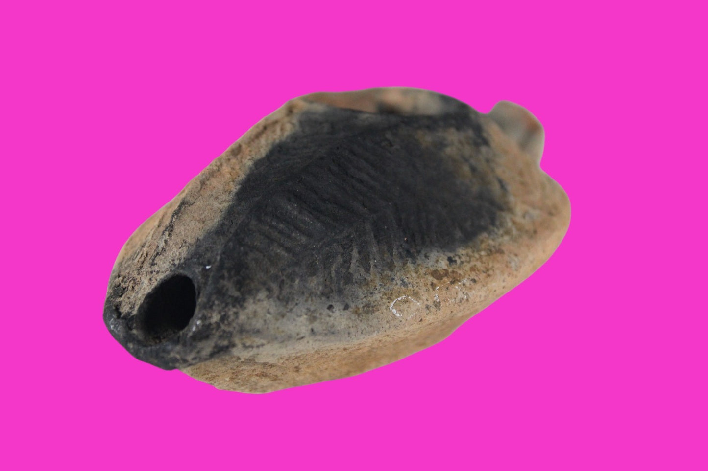 Oil Lamp Holy Land Ancient Artifact Jesus Christ Home Israel 300-600 AD COA 94