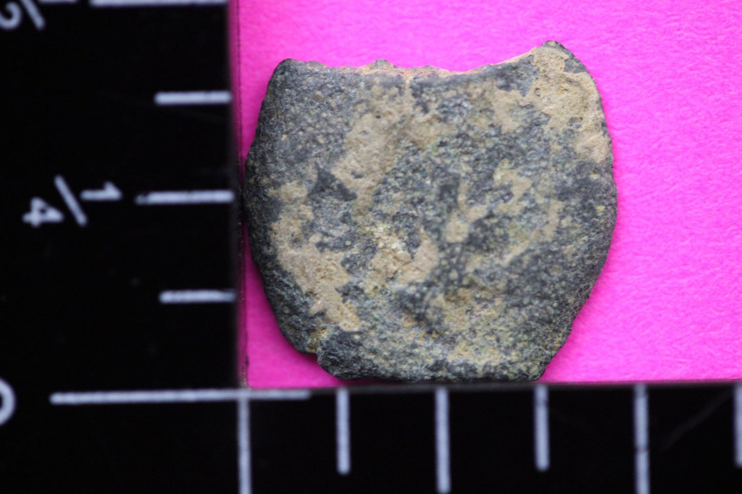 Widows Mite Coin Holy Land Artifact Free Display Frame Jesus Christ Lifetime 171