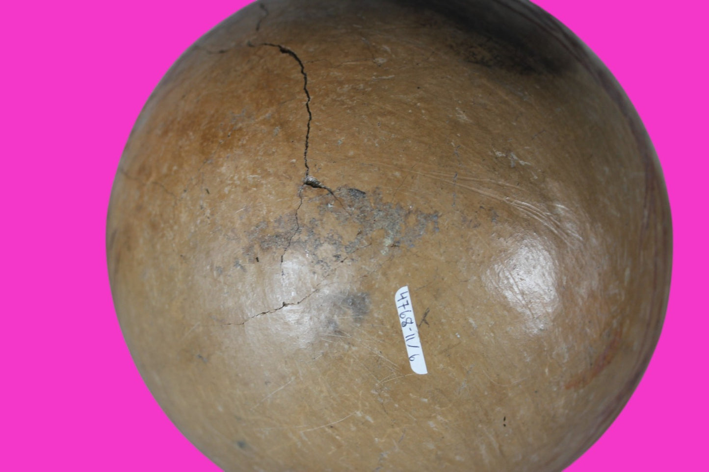 Pre Columbian Authentic Artifact Michoacan Large Olla Mexico 100 - 400BC COA J36