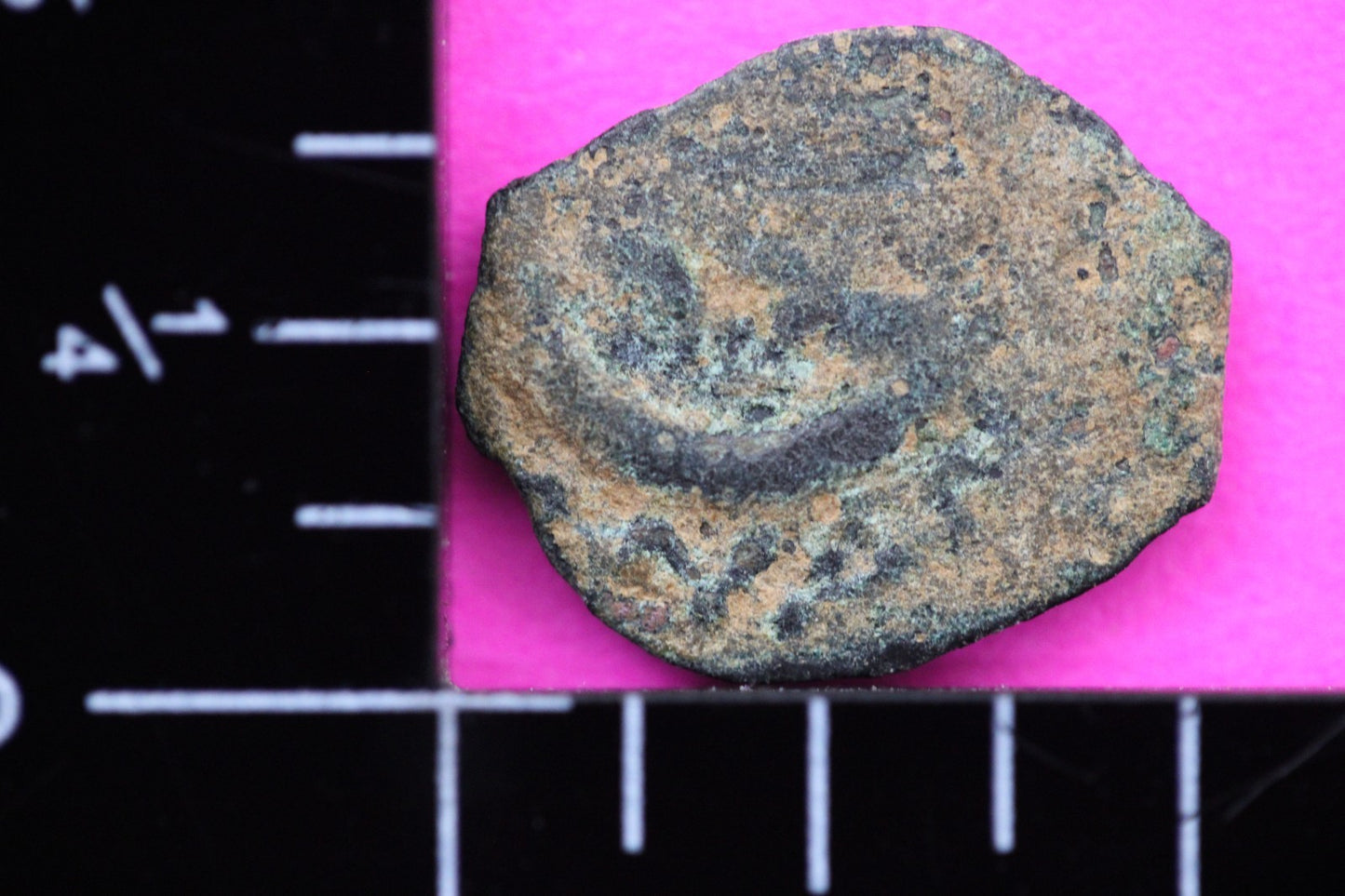 Widows Mite Coin Holy Land Artifact Free Display Frame Jesus Christ Lifetime 78