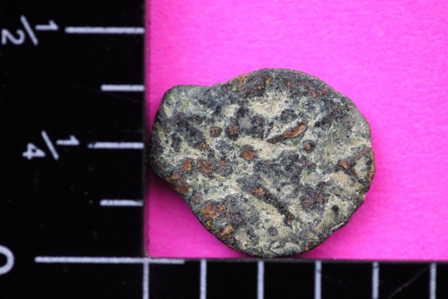 Widows Mite Coin Holy Land Artifact Free Display Frame Jesus Christ Lifetime 186