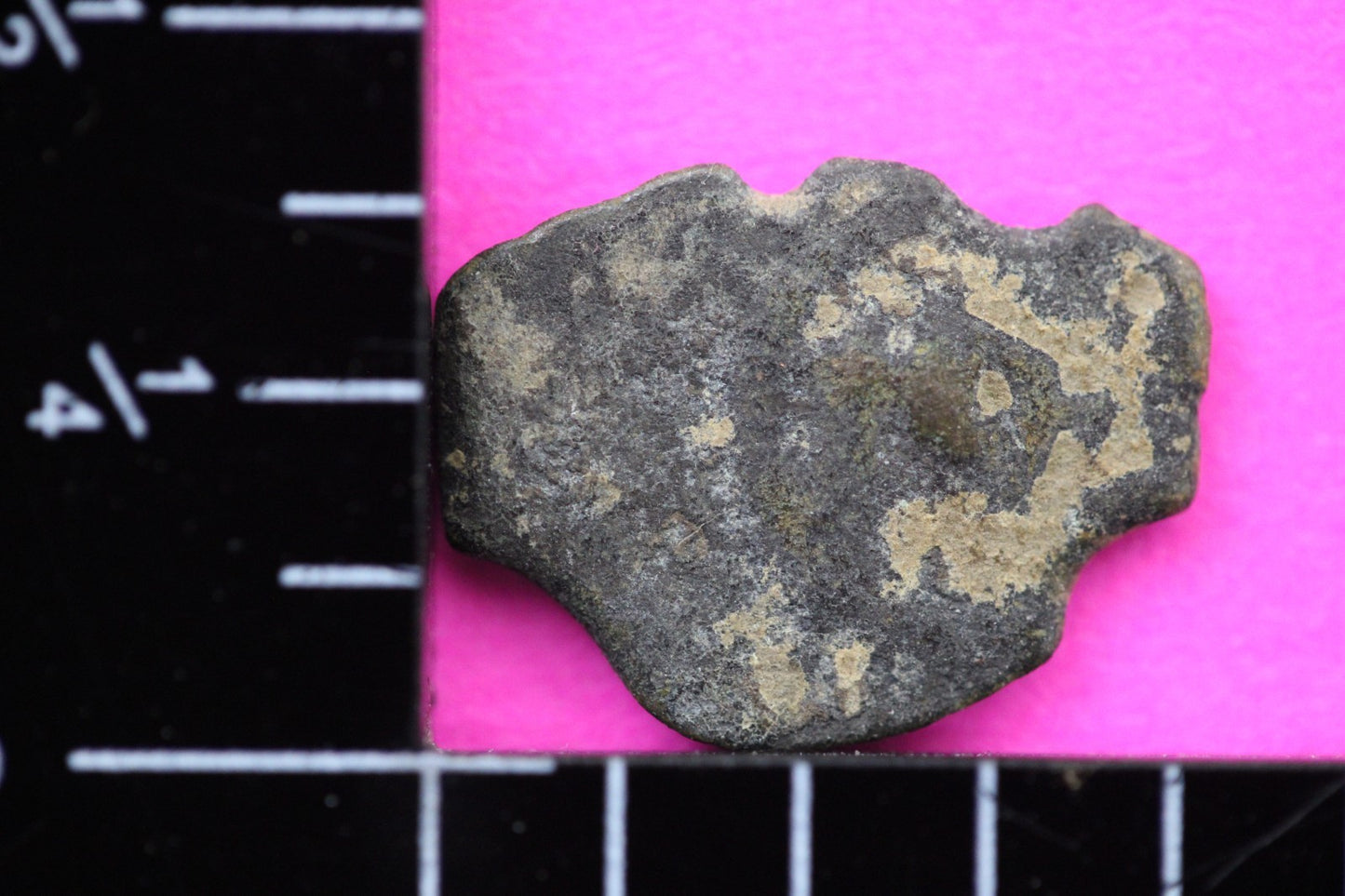 Widows Mite Coin Holy Land Artifact Free Display Frame Jesus Christ Lifetime 75