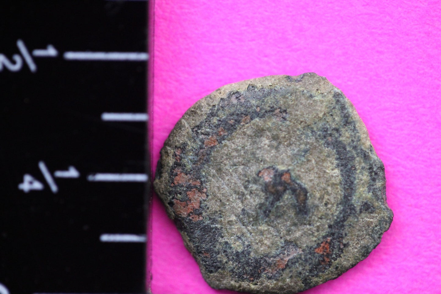 Widows Mite Coin Holy Land Artifact Free Display Frame Jesus Christ Lifetime 55