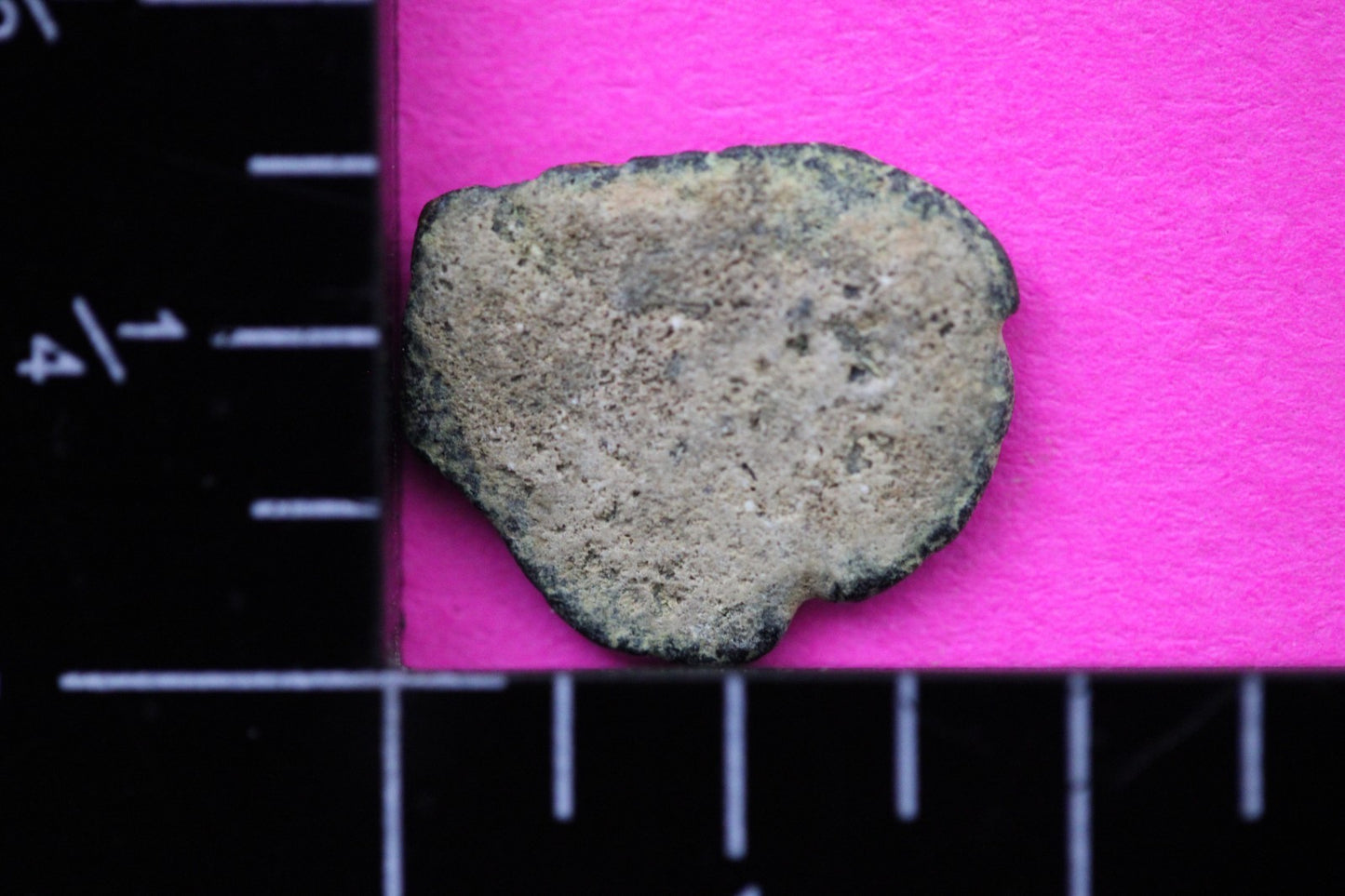 Widows Mite Coin Holy Land Artifact Free Display Frame Jesus Christ Lifetime 219