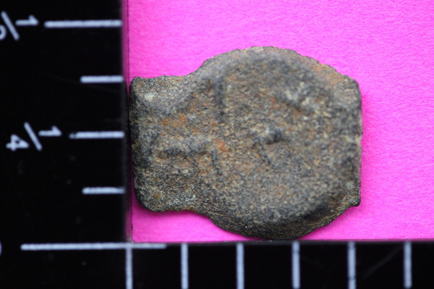 Widows Mite Coin Holy Land Artifact Free Display Frame Jesus Christ Lifetime 206