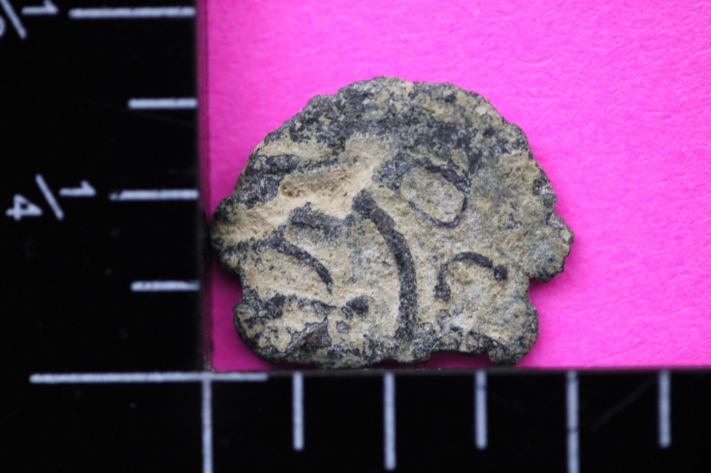 Widows Mite Coin Holy Land Artifact Free Display Frame Jesus Christ Lifetime 209