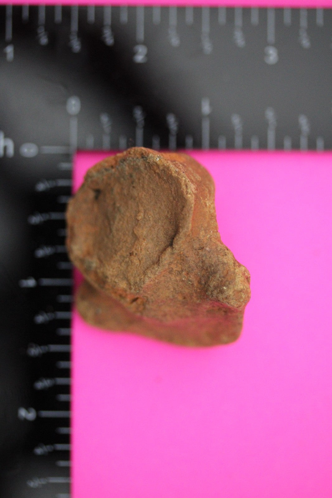 Puerto Rico Taino Pre Columbian Pottery Artifact FREE Display Case 1000AD COA 07