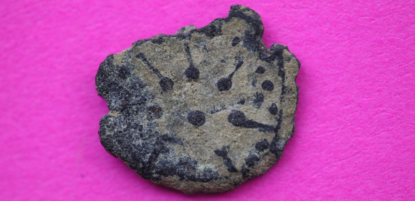 Widows Mite Coin Holy Land Artifact Free Display Frame Jesus Christ Lifetime 209