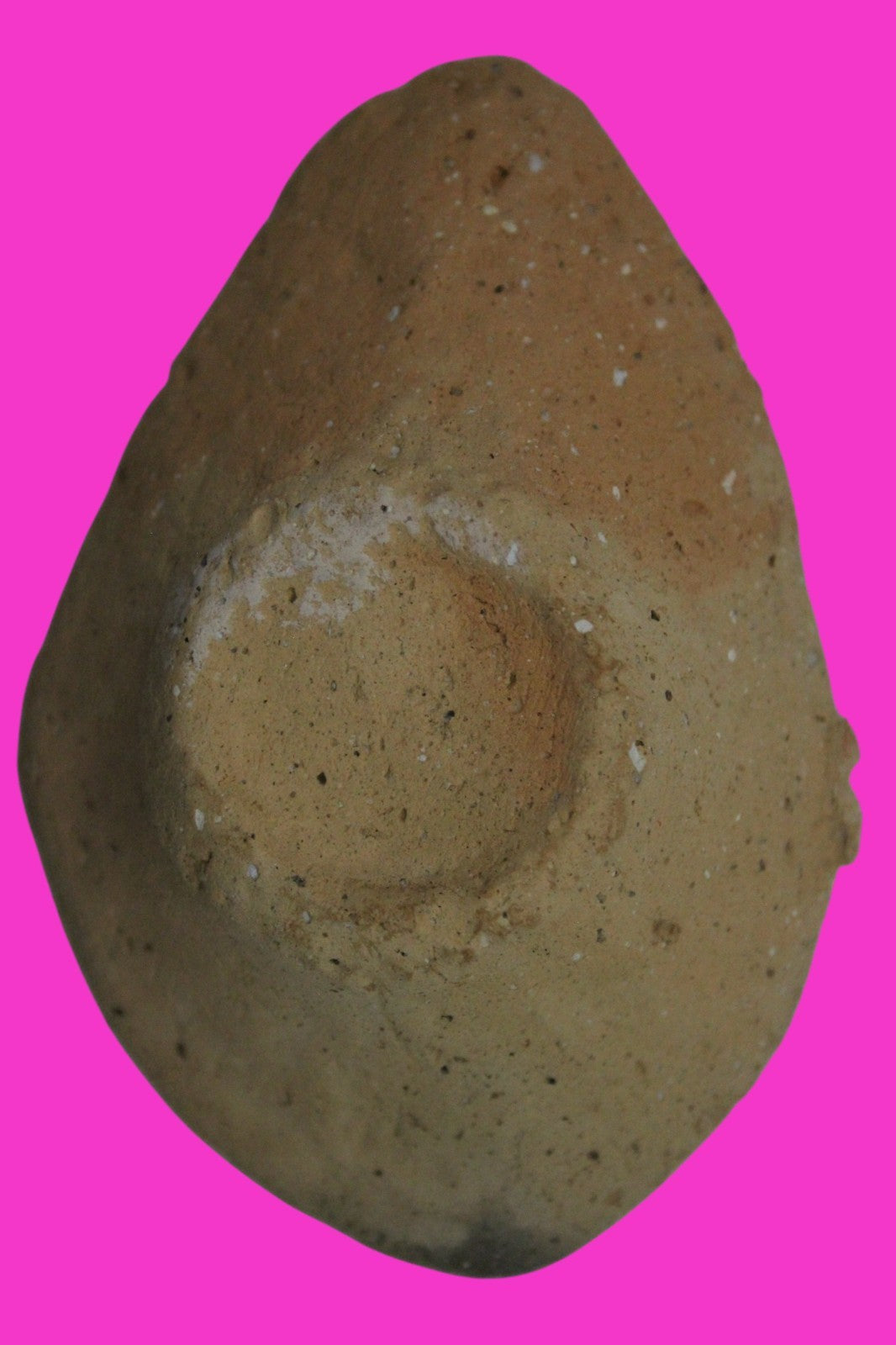 Ancient Holy Land Oil Lamp Artifact  From Jesus Christ Homeland 400-600AD COA 36