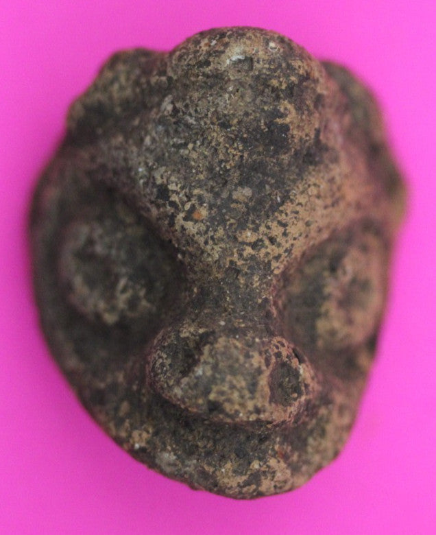 Puerto Rico Taino Pre Columbian Pottery Artifact FREE Display Case 1000AD COA 09