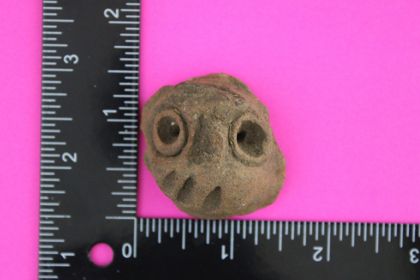 Puerto Rico Taino Pre Columbian Pottery Artifact FREE Display Case 1000AD COA 73