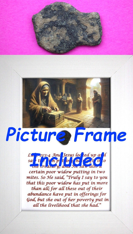 Widows Mite Coin Holy Land Artifact Free Display Frame Jesus Christ Lifetime 82