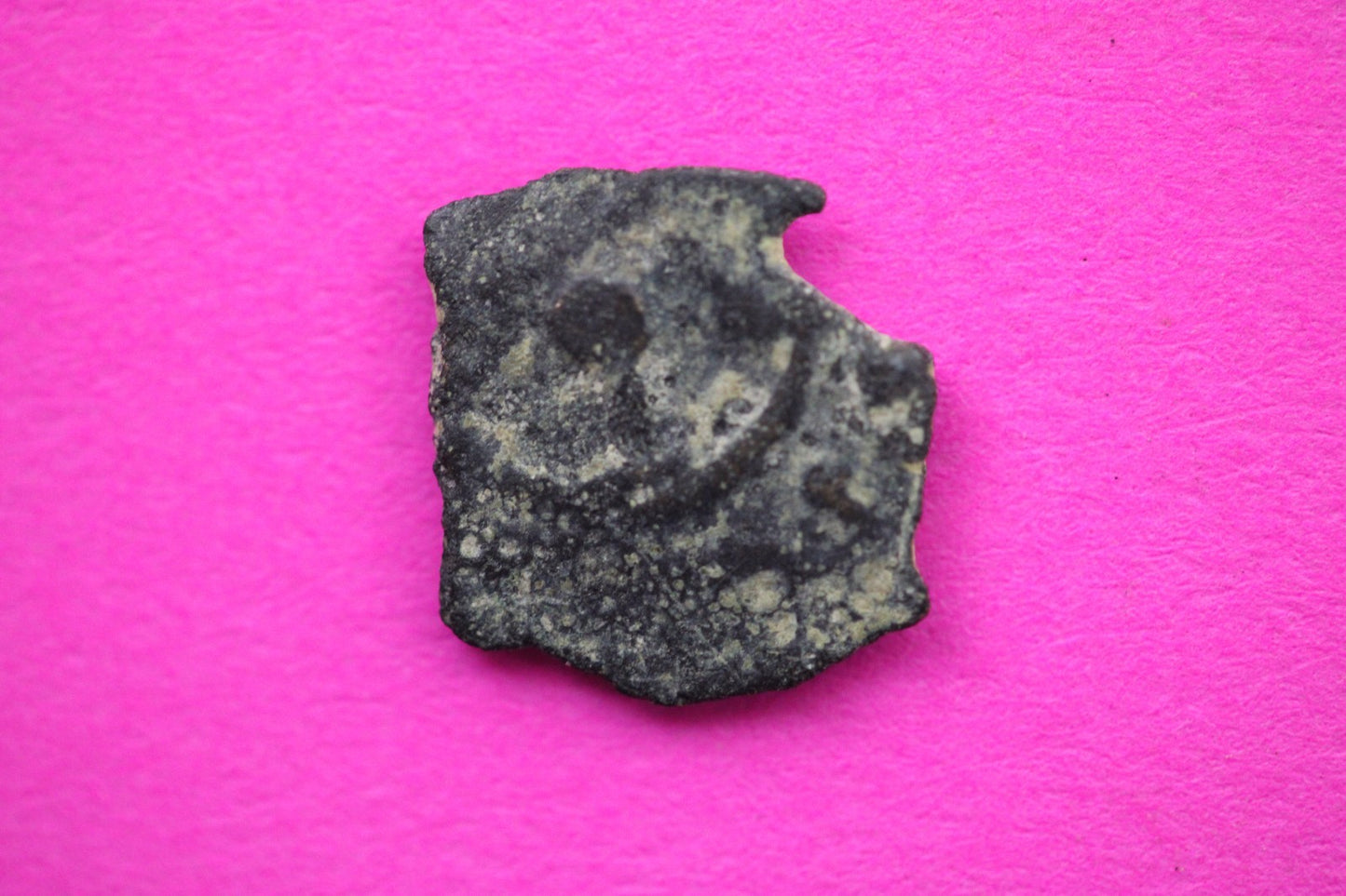 Widows Mite Coin Holy Land Artifact Free Display Frame Jesus Christ Lifetime 108