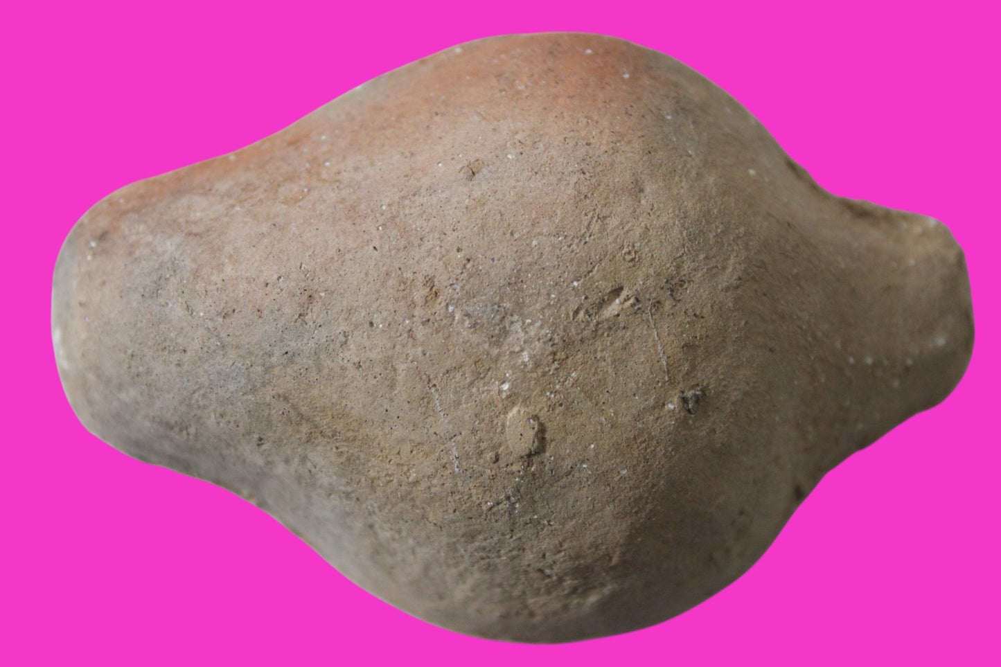 Ancient Holy Land Oil Lamp Artifact Jesus Christ Homeland 100BC-400AD COA 19