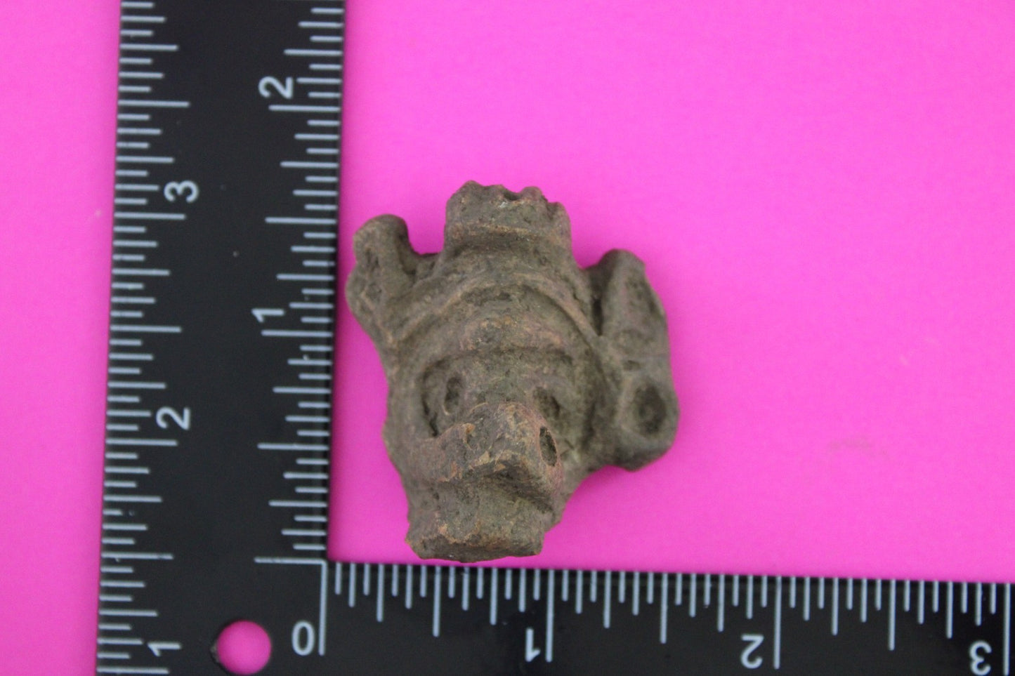 Puerto Rico Taino Pre Columbian Pottery Artifact FREE Display Case 1000AD COA 63