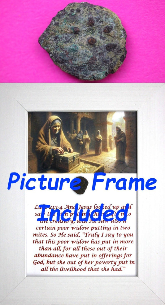 Widows Mite Coin Holy Land Artifact Free Display Frame Jesus Christ Lifetime 91