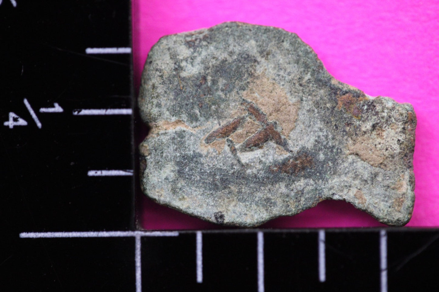 Widows Mite Coin Holy Land Artifact Free Display Frame Jesus Christ Lifetime 131