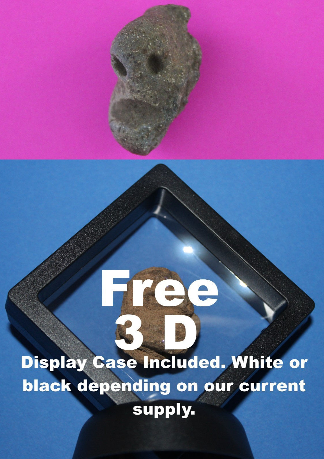 Puerto Rico Taino Pre Columbian Pottery Artifact FREE Display Case 1000AD COA 69