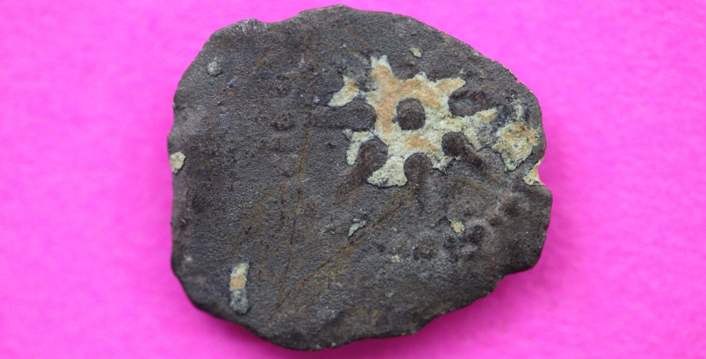 Widows Mite Coin Holy Land Artifact Free Display Frame Jesus Christ Lifetime 50