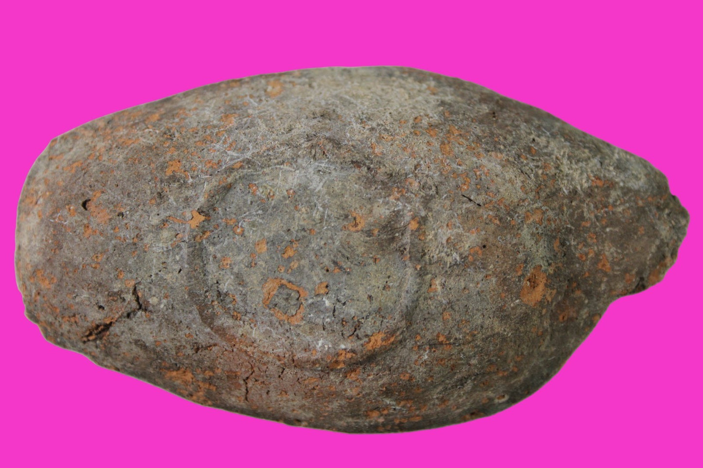 Oil Lamp Holy Land Ancient Artifact Jesus Christ Home Israel 300-600 AD COA 115