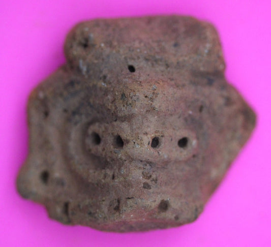 Puerto Rico Taino Pre Columbian Pottery Artifact FREE Display Case 1000AD COA 25